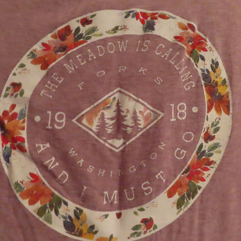 Twilight Forks Washington Shirt - Picture 4 of 4
